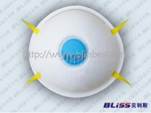 Disposable Particulate Respirator